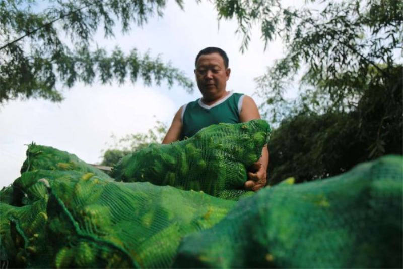 1756698108399920.jpg 未命名-1.jpg