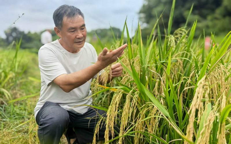 1756795810877733.jpg 未命名-1.jpg