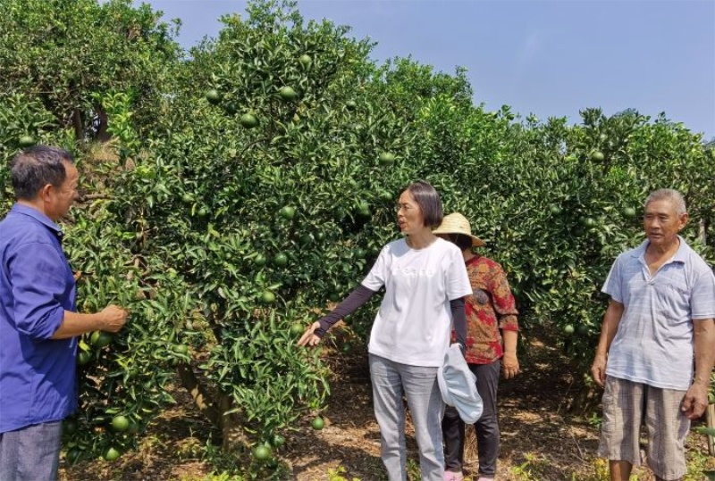 1756859199857162.jpg 未命名-1.jpg