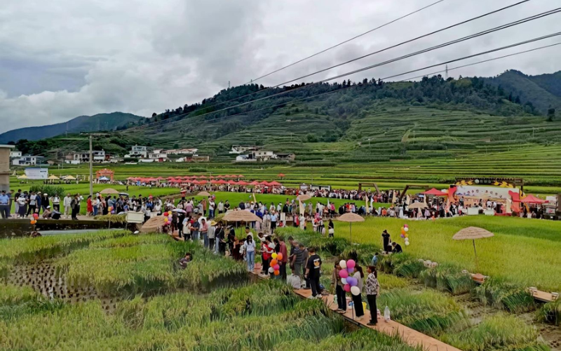 1757919227479480.jpg 未命名-1.jpg