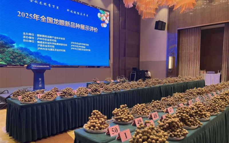 1758002717269669.jpg 未命名-1.jpg