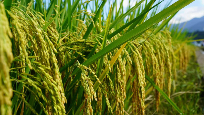 1758179466610873.jpg 未命名-1.jpg