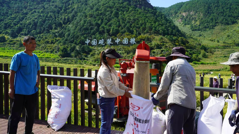 1758179494245576.jpg 未命名-1.jpg