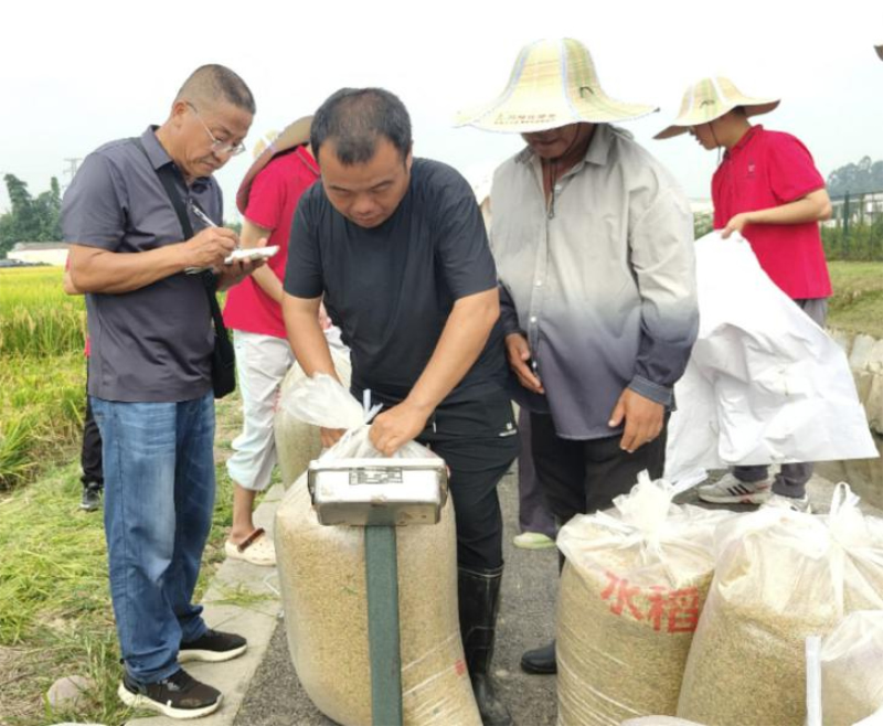 1758249880790608.jpg 未命名-1.jpg