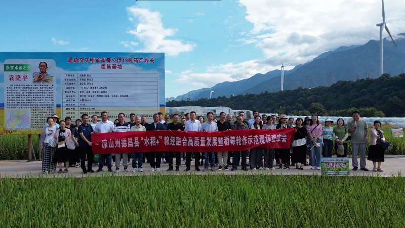 1758250145621528.jpg 未命名-1.jpg