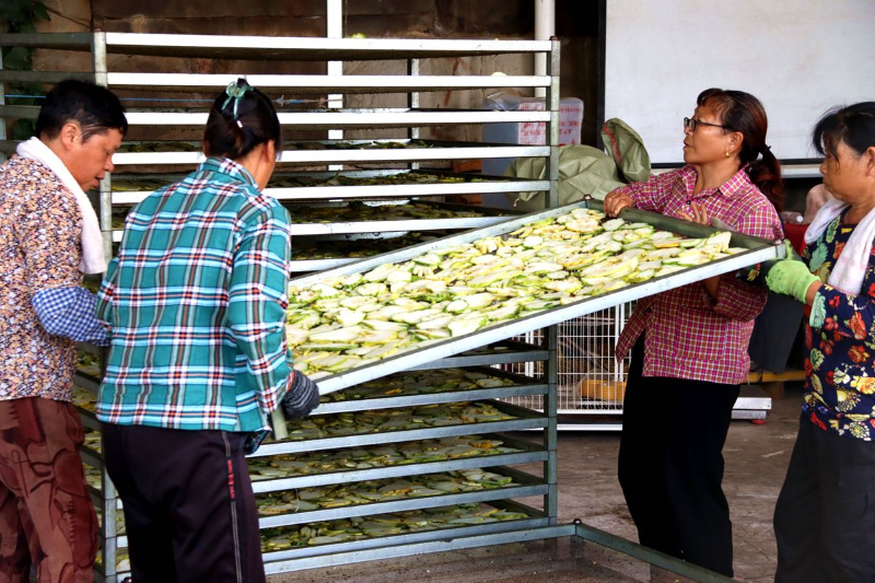 1758267048252847.jpg 未命名-1.jpg