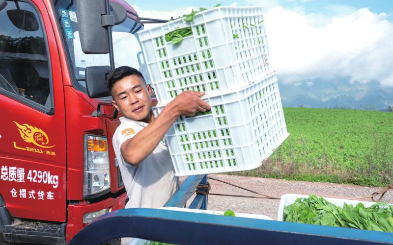 1758584015315442.jpg 未命名-1.jpg