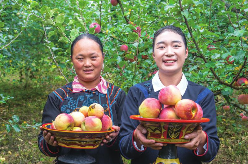 1758584066380451.jpg d40933fd4bc07be80ddcffd3a511fb60_6e38af2d54af7917573e08d4992272be.jpg