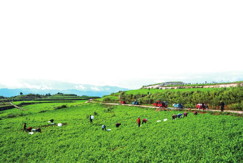 1758584107673685.jpg 357ceede4b4dce32e65225965e663f8a_fb8a7fa5bb57f5b9733fe3712037fda1.jpg