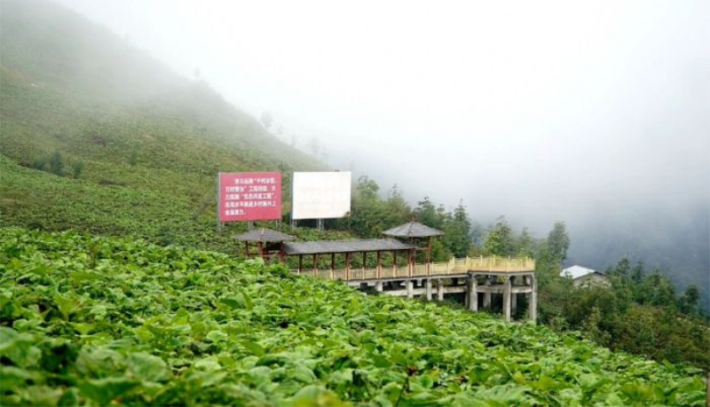 1758700568939106.png image.png