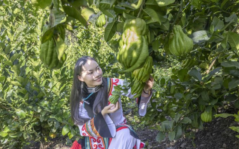 1758855564416440.jpg 未命名-1.jpg