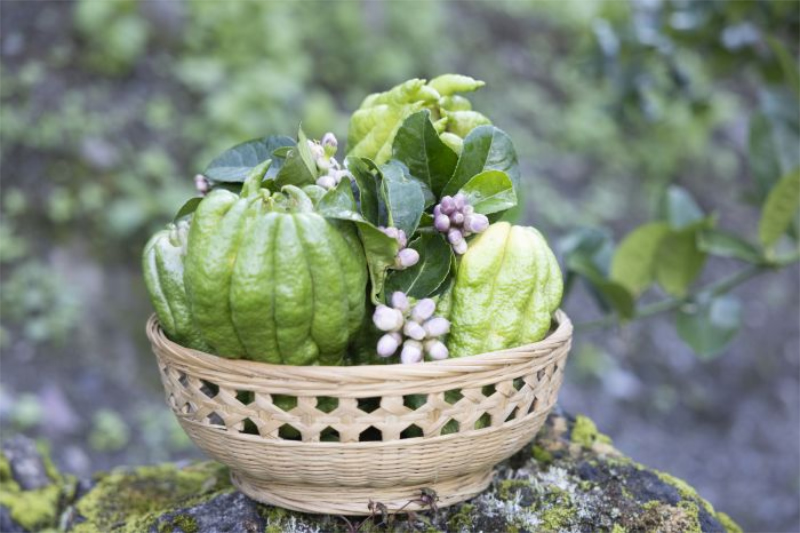 1758855586979296.jpg 未命名-1.jpg