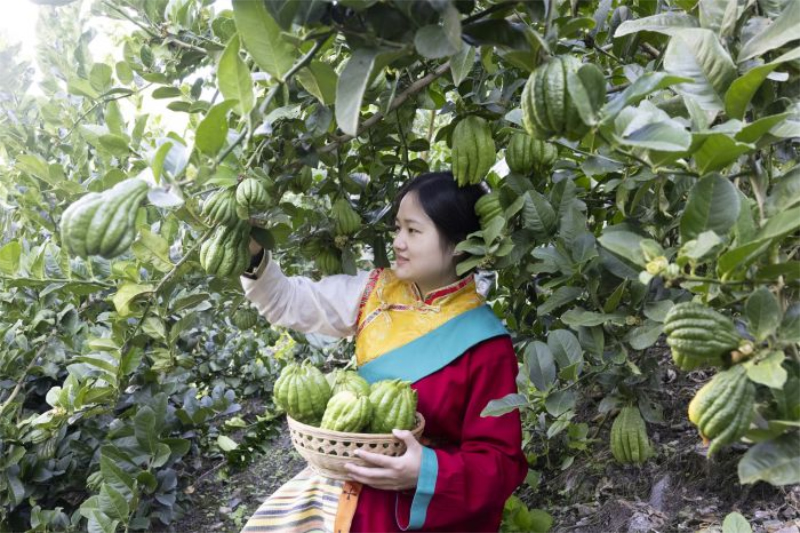 1758855614233759.jpg 未命名-1.jpg