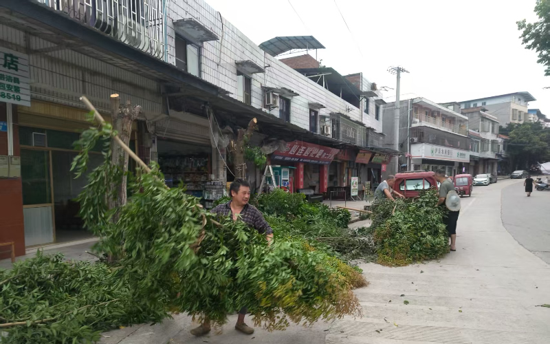 1758875573879123.jpg 未命名-1.jpg