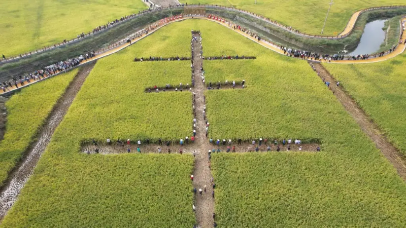 1759026744756407.jpg 未命名-1.jpg