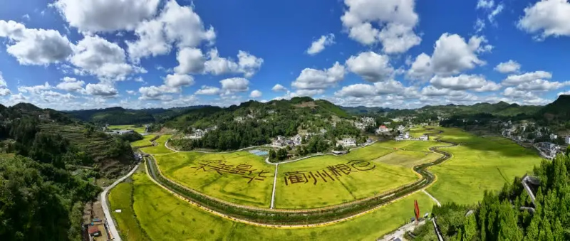 1759026771329132.jpg 未命名-1.jpg