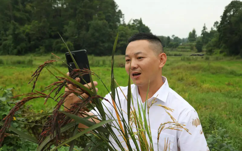 1759026875707571.jpg 未命名-1.jpg