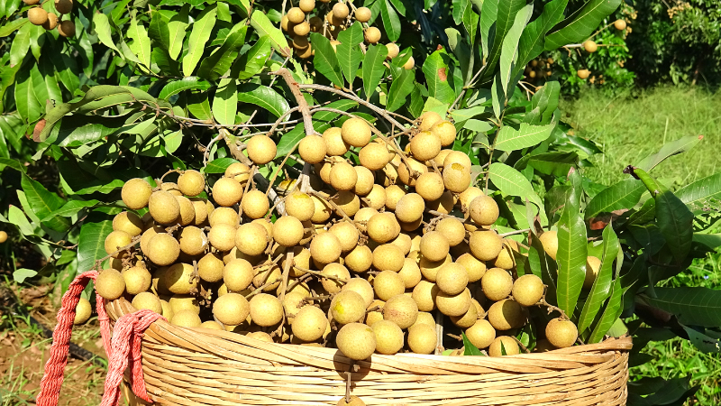 1759129583766495.jpg 未命名-1.jpg