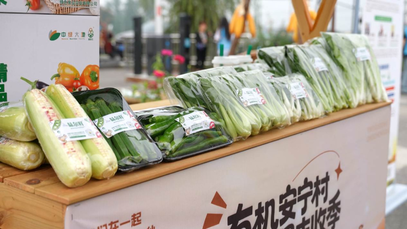 1759129863451710.jpg 未命名-1.jpg