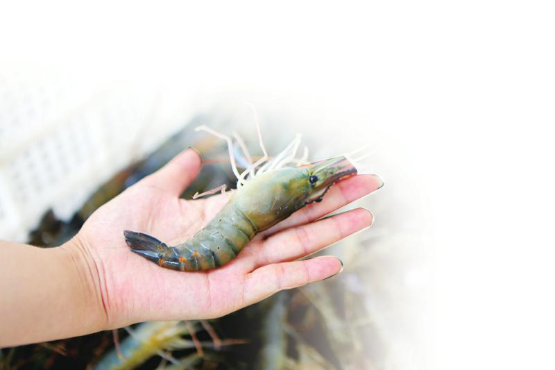 1759197357832854.jpg 705bc100af1a0176dec6caab29252617_819b8c161d04f9e2546ad8bf2cdd8c0c.jpg