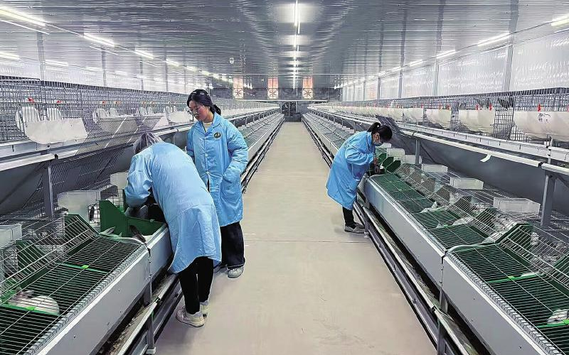 1759198136717513.jpg 未命名-1.jpg