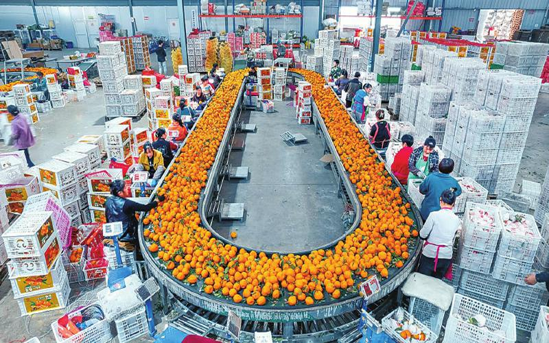 1759198768341507.jpg 未命名-1.jpg