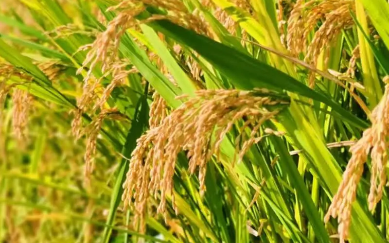 1760081131320203.jpg 未命名-1.jpg