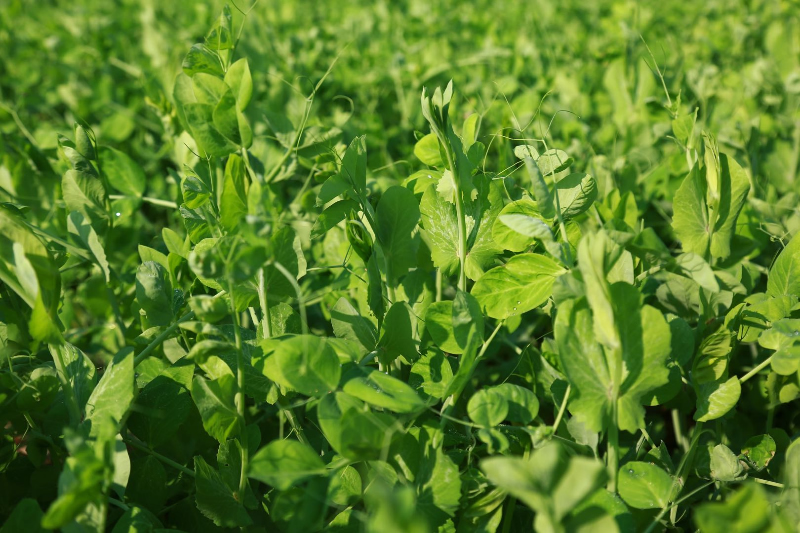 1760583102359326.jpg 未命名-1.jpg