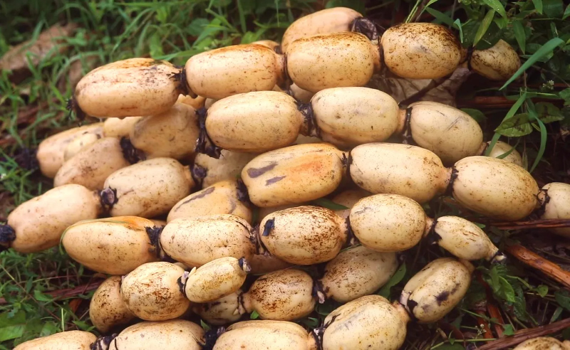 1760583559234547.jpg 未命名-1.jpg