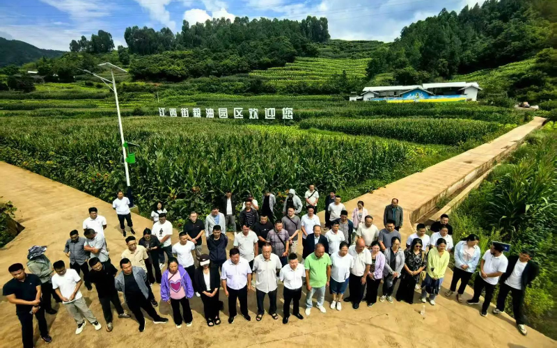 1760928685840570.jpg 未命名-1.jpg