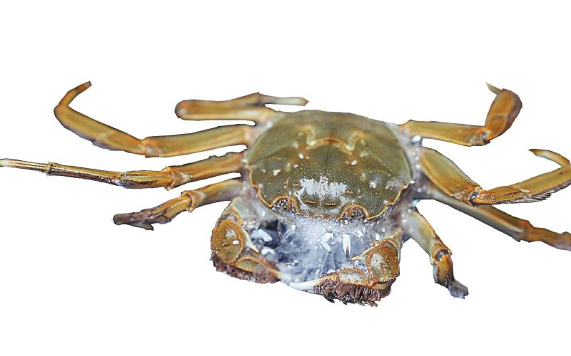 1761187650688937.jpg 未命名-1.jpg