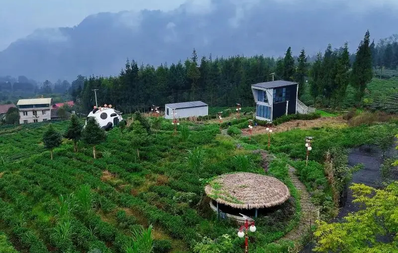 1761204444379916.jpg 未命名-1.jpg