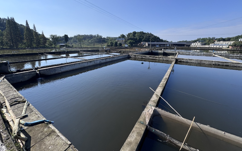 1761618308545942.jpg 未命名-1.jpg