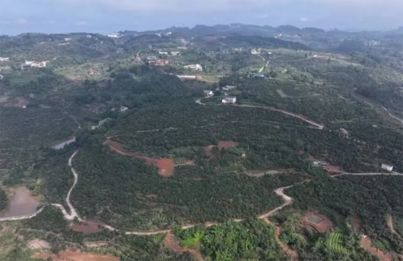 1761809573188628.jpg 未命名-1.jpg