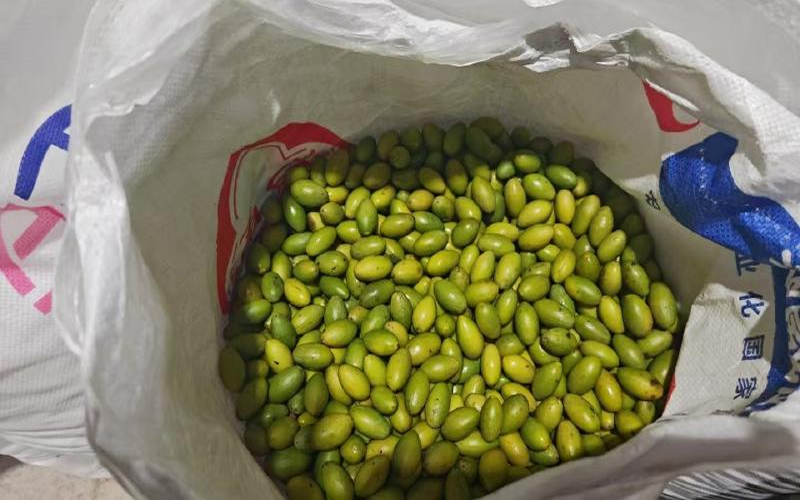 1762137506446104.jpg 未命名-1.jpg