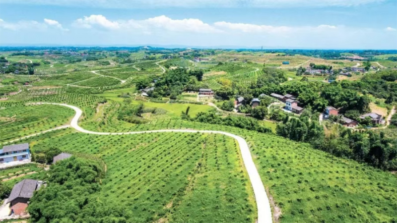 1762142492142453.jpg 未命名-1.jpg