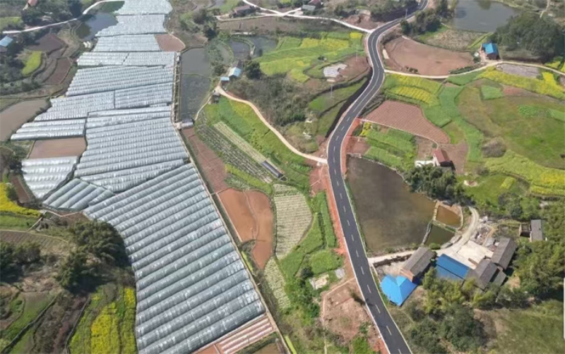 1762142523300127.jpg 未命名-1.jpg