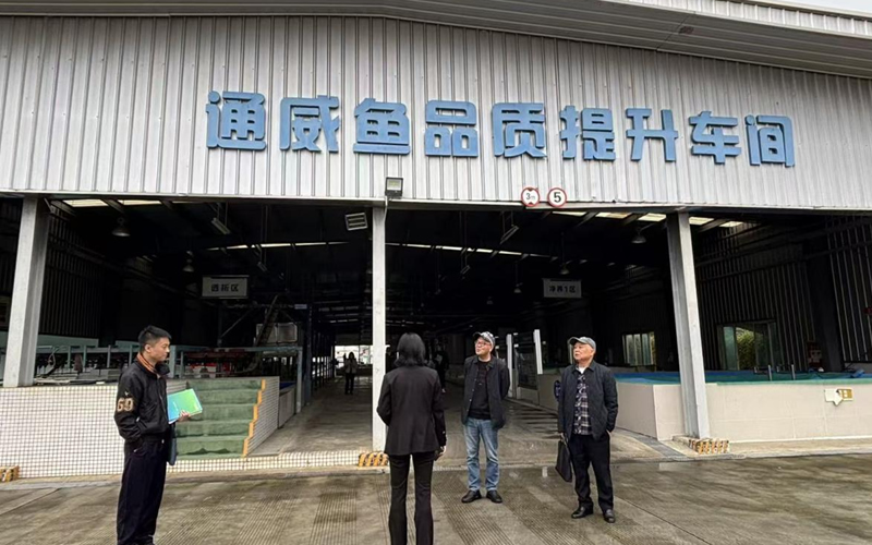 1762156296592505.jpg 未命名-1.jpg