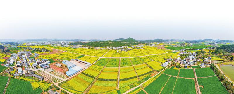 1762221817134111.jpg 4740d7228577efee12ddddd331150916_f6ce228ca5df8982dce88b0190734bbd.jpg