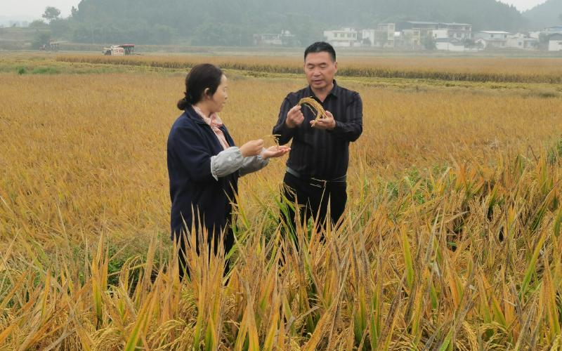 1762221886906030.jpg 未命名-1.jpg