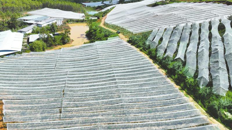 1762224815687514.jpg 015a774baf392dd16f783d811b4878a7_176a9cddcfeb69fe97f4c63b164d02b7.jpg