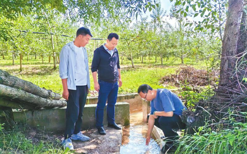 1762224852603559.jpg 未命名-1.jpg