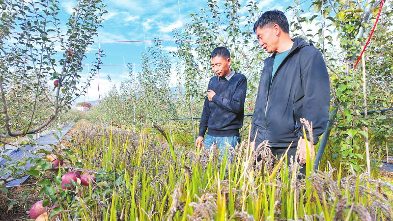 1762396978105191.jpg 9381f86898c5d4401fc92be60c6bf44d_76ebc33862beed59b6e1d4c9a17cbeeb.jpg