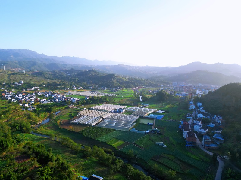 1762434436286508.jpg 1-1IMG_202511062740_800x600.jpg