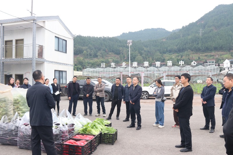 1762434465427937.jpg 1-2IMG_202511062145_800x533.jpg