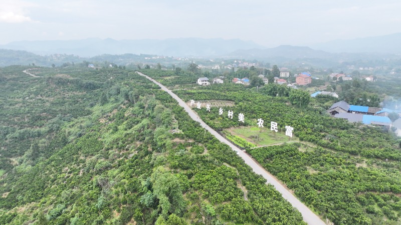 1762434536487093.jpg 1-3IMG_202511069165_800x450.jpg