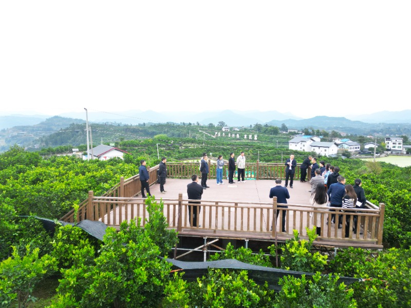 1762434550692955.jpg 1-4IMG_202511063163_800x600.jpg