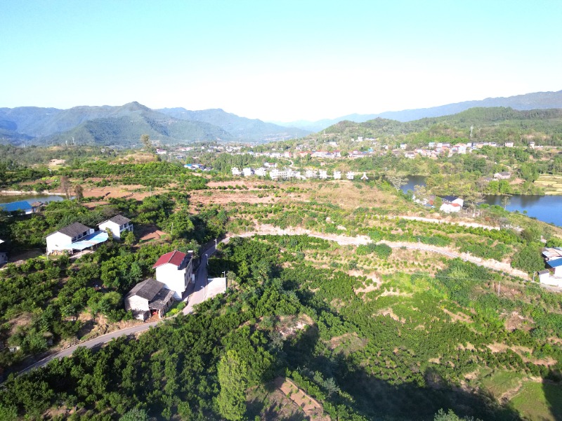 1762435706514395.jpg 1-5IMG_202511063124_800x600.jpg