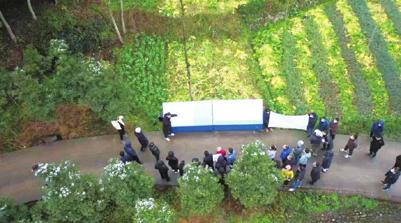 1762470366328363.jpg f2a13ff0362e714f306b8f80613e9c3a_220a0f9802baa71e3ddd705eff8fda90.jpg