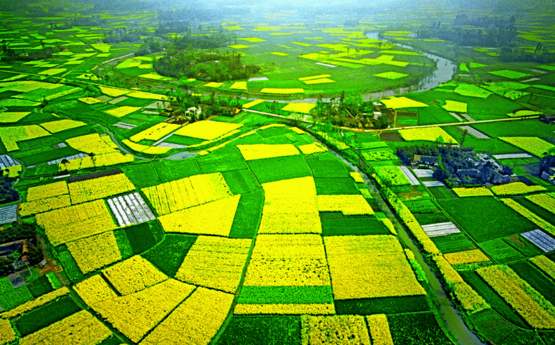 1762470444252841.jpg 未命名-1.jpg